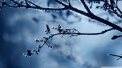 Cate grade vor indica termometrele astazi si cum va fi vremea in urmatoarele zile. Prognoza meteo - FOTO