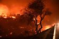 Cinci oameni au ars de vii in masini, in incendiile din California. Peste o mie de cladiri au ars - VIDEO