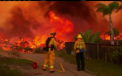 Mii de oameni evacuati si locuinte arse pana in temelii. Pompierii din California duc o lupta inegala cu flacarile, de 3 zile