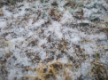 Vreme urata si maxime de pana la 2 grade Celsius, in capitala. Ar putea sa cada si cativa fulgi. Prognoza meteo