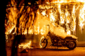 59 de morţi in incendiile din California. Peste 10.300 de proprietati au fost distruse flacari - VIDEO