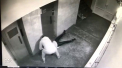 Starea tinerei talharite in scara blocului din Alba Iulia. Agresorul fusese eliberat recent din inchisoare