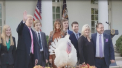 Asa cum cere traditia, inainte de Ziua Recunostintei, presedintele Trump a gratiat un curcan. Ceremonia s-a dat in gradina Casei Albe. Curcanul, care nu va ajunge pe masa de sarbatoare - VIDEO
