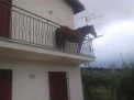 Cal fotografiat in balconul unei case din Cluj, la etajul I - FOTO