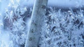 Ingheturi si minime de pana la -11 grade Celsius. Cum va fi vremea in urmatoarele zile. Prognoza meteo - FOTO