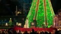 Donald si Melania Trump au aprins luminile din bradul de Craciun, la Casa Alba