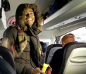 Doi migranti, descoperiti intr-un autocar al fanilor Liverpool. Reactia suporterilor a devenit viralt - FOTO