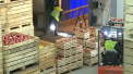 Ultimele tendinte in domeniul agriculturii prezentate la un eveniment care a adunat agricultori din toata tara. Oamenii au invatat cum trebuie sa arate o livada moderna, care sa corespunda standardelor europene - VIDEO