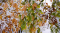Prognoza meteo. Cum va fi vremea astazi, dar si in urmatoarele zile - FOTO
