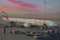 Adevarul din spatele imaginii cu avionul din Emiratele Arabe acoperit cu diamante - FOTO