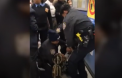Copil de un an din SUA, tras cu brutalitate de un politist din bratele mamei - VIDEO