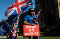 Ce categorii de migranti vor fi primiti in Marea Britanie dupa Brexit