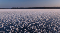 Explicatia unui fenomen rar. Ce a aparut pe un lac inghetat - FOTO