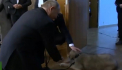 Vladimir Putin a primit in dar de la omologul sau sarb un catel de rasa ciobanesc de Iugoslavia. Reactia liderului rus