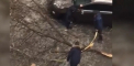 Sute de copaci au fost scosi din radacini din cauza vremii nefavorabile, la Bucuresti. Stratul gros de gheata format pe cabluri a facut ca si stalpii de electricitate sa cedeze - VIDEO