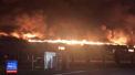 Incendiu la cea mai mare fabrica de condimente din Romania. Anuntul autoritatilor - VIDEO