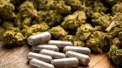 Inca o tara din Europa legalizeaza canabisul in scop terapeutic