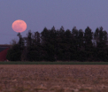 Luna gigantica si de o culoare bizara in noaptea de vineri 13. Nici macar NASA nu are o explicatie