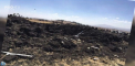 Un avion cu 157 de persoane la bord s-a prabusit in Etiopia. Autoritatile au anuntat ca nu exista niciun supravietuitor. Inainte de tragedie pilotul a anuntat turnul de control ca are probleme si ca vrea sa se intoarca - VIDEO
