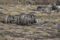 A scapat cu viata din tragedia din Etiopia pentru ca a intarziat 2 minute la imbarcare