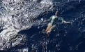 A cazut din barca, dar a supravietuit ore intregi datorita unei tehnici folosite in Marina SUA - VIDEO