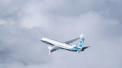 Ultimele clipe inainte de prabusirea Boeing 737 Max, in Etiopia. Ce s-a intamplat in cabina