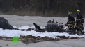 Una dintre cele mai bogate femei din Rusia si co-proprietara unei mari companii aeriene rusesti, a murit in urma unui accident aviatic - VIDEO