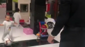 Se pare ca familia Ronaldo are viitor asigurat in fotbal. La nici doi ani ai sai, cel de-al doilea fiu al celebrului jucator de la Juventus se descurca destul de bine cu mingea - VIDEO