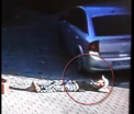 A supravietuit ca prin minune dupa ce a fost calcat pe cap de o masina. Cum s-a intamplat totul. VIDEO SOCANT