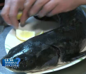 Regulile de preparare a pestelui. Cum trebuie sa procedati ca sa aveti pe masa un aliment perfect