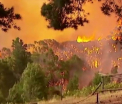 Despagubiri record, acordate in Australia. Cati bani o sa primeasca supravietuitorii incendiilor de vegetatie