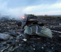 Ipoteza tulburatoare. Un site al rebelilor sugereaza ca insurgentii ar fi doborat avionul Malaysia Airline din greseala