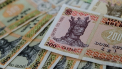 Au prejudiciat statul cu 21 mln de lei. Evaziuni fiscale la o retea de magazine de electrocasnice