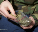 Un raport oficial al ONU dezvaluie tarile in care populatia consuma cel mai mult marijuana