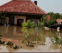 Inundatii de proportii in Bulgaria. Doi morti, zece persoane disparute si alte sute de localnici salvati la limita