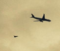 Un Airbus al Qatar Airways, escortat de un avion de lupta, deasupra Marii Britanii, dupa o amenintare terorista la bord