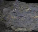 Cel mai vechi exemplu de arta abstracta dateaza de acum 40.000 de ani si schimba conceptia despre omul de Neanderthal