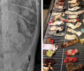 Un veterinar a gasit 43 de sosete in stomacul unui caine. Patrupedul a fost operat si acum se simte bine