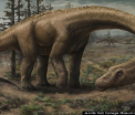Cea mai mare creatura care a calcat vreodata pe Pamant. Un nou tip de dinozaur, descoperit in Argentina