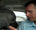 Un barbat din SUA a salvat un pui de elefant care a supravietuit unui masacru, luandu-l in avionul sau