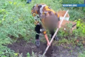 Si-a omorat mama in bataie, apoi a incendiat cadavrul. Ce le-a spus politistilor femeia din Slobozia