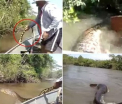 VIDEO. Trei pescari brazilieni risca inchisoare pentru ca au agresat si incercat sa prinda o anaconda galbena