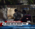 Cel putin 41 de caini au murit intr-un incendiu izbucnit intr-o casa din Las Vegas. Proprietarul avea peste 90 de animale in locuinta