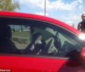 Reactia unui barbat atunci cand vede ca cersetoarea careia ii dadea bani in fiecare zi conduce o masina mai buna decat a lui. VIDEO