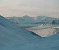 Au facut necropsia unui bizon de 9.300 de ani perfect conservat in Siberia. Ce au descoperit oamenii de stiinta e uimitor