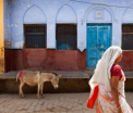 Pedeapsa desprinsa din Evul Mediu. O femeie a fost plimbata goala pe un magar printr-un sat din India