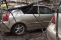 Atentie unde parcati masinile! Mai multe automobile, ZDROBITE de copacii cazuti. VIDEO
