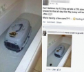 Imaginea care i-a revoltat pe utilizatorii Facebook. Ce a postat o femeie pe reteaua de socializare