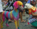 In Brazilia s-a dat startul carnavalului...cainilor. Cum au fost costumati peste 100 de patrupezi