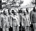 Ziua Internationala a Holocaustului: 27 ianuarie, ziua care marcheaza sfarsitul celui mai sumbru capitol din istoria omenirii